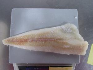pollock fillets