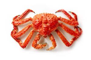 Whole Alaskan Red King Crab/ Giant Red King Crab Legs/