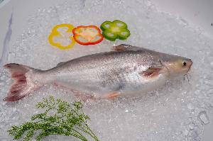 WHOLE FISH