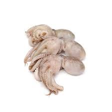 100% Export Oriented Hot Sale Baby  Octopus  Whole Round
