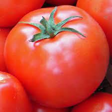 High Quality Best Taste Wholesale Organic Bulk Attractive Red Tomatoes
