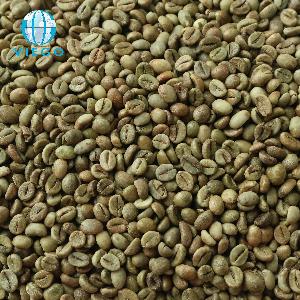 Robusta green beans S16,18, Clean, Grade 1 - Viego Global - +84 90 827 9098