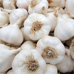 High  Quality  New Crop Fresh  Garlic  Original Supplier Full Dried  Good s Wholesale Price  Garlic 