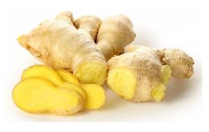 High quality  Dry  Ginger Professional export  Fresh  Clean ginger