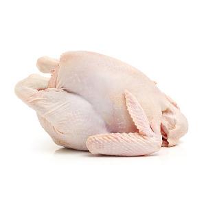 Frozen Chicken and Parts